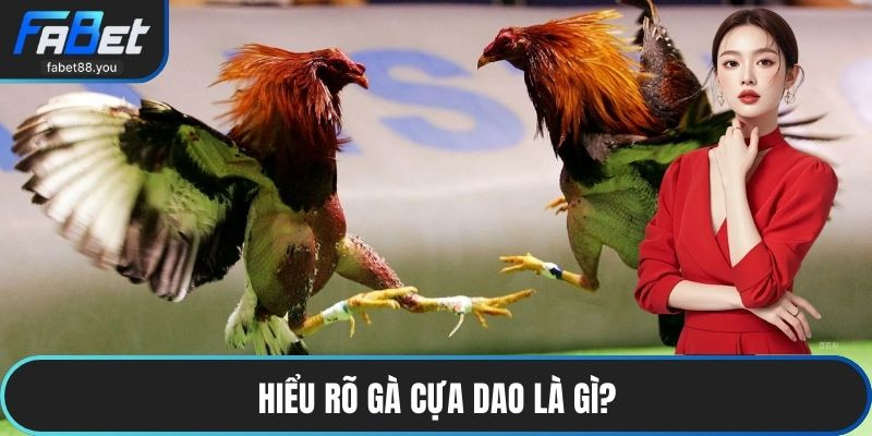 Hiểu rõ Gà Cựa Dao là gì?